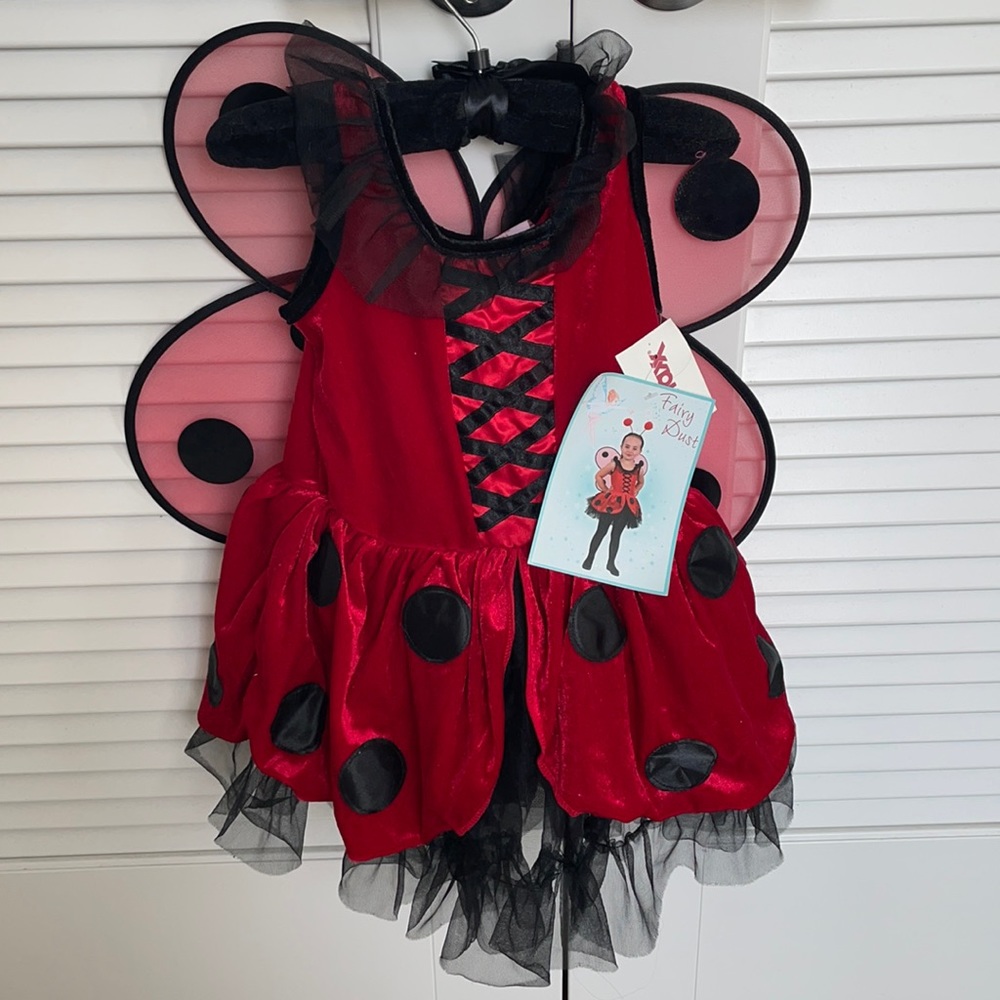 Brand new lady big kids costume
